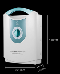 Under-sink water purifier